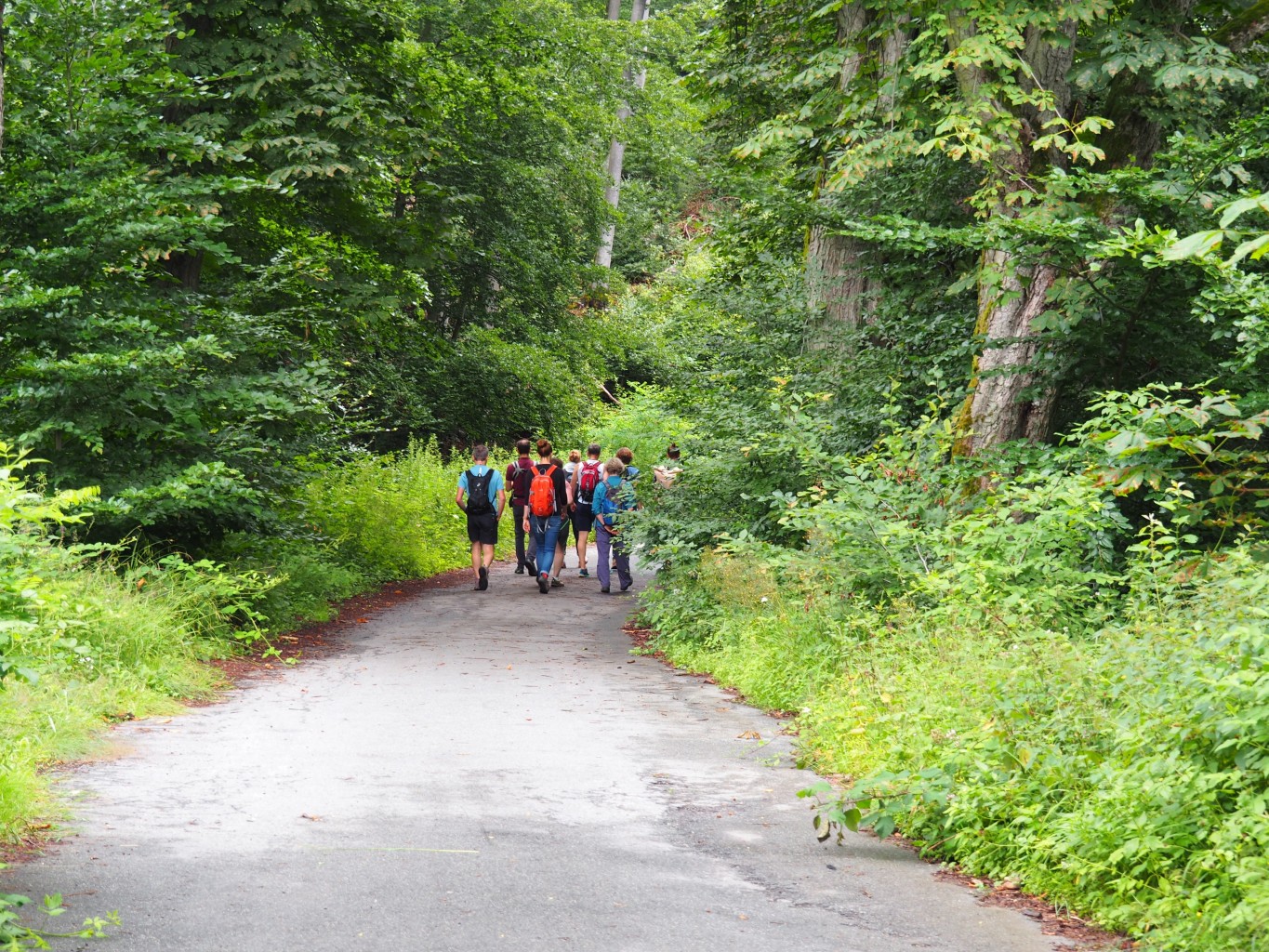 Zweite Z.WO Wanderung